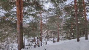 Не продавайте себя. Кто хозяин вашей жизни? Время за деньги