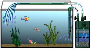 Улучшил фильтрацию Внешнего фильтра JBL CP 500 в 2 раза в своём Аквариуме