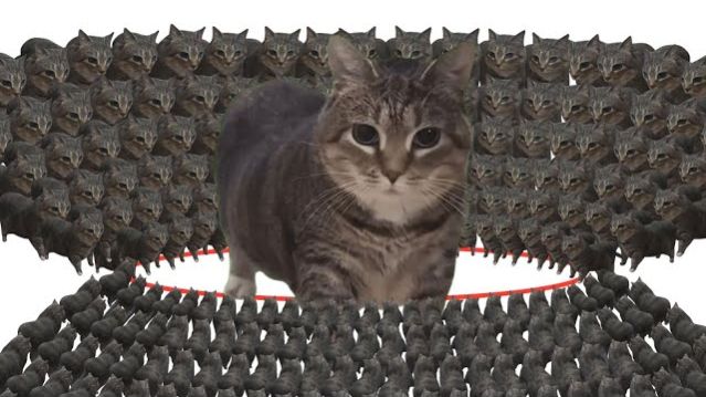 ОДИН МЕМНЫЙ КОТИК ПРОТИВ 10 000 000 ОБЫКНОВЕННЫХ КОТОВ! КТО ПОБЕДИТ? РЕАКЦИЯ