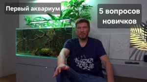 Первый аквариум. Пять вопросов новичков