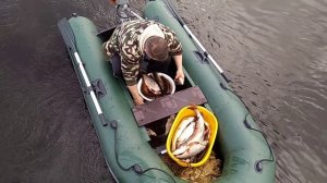 Щуки,язи и караси