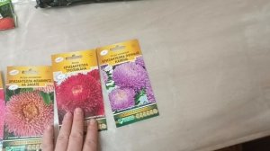 27.02.26. Сажаю томаты и перцы. Манник.