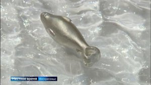 В Иркутске предпринимательница смогла продолжить работу благодаря фонду микрокредитования