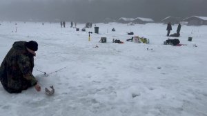 Поимки форели