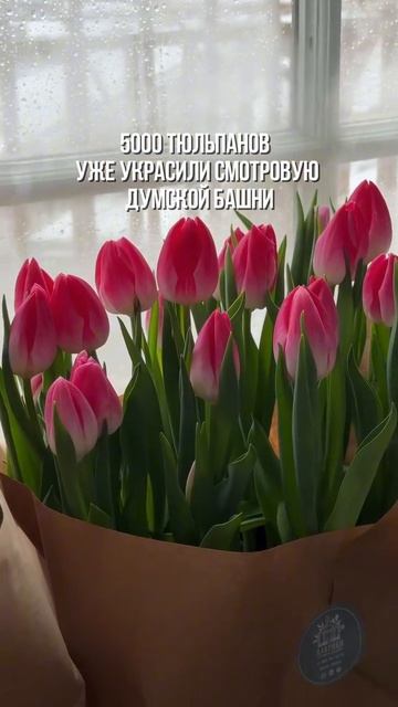 На Думской башне снова расцвели тюльпаны