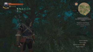 Ведьмак 3 - Гроссмейстерский доспех школы грифона