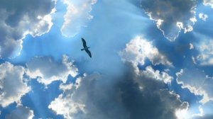 Ночь всё укроет. (стих в прозе).