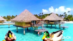 Peder. B Helland - Our Future Remix Beautiful Calm Relaxing Music