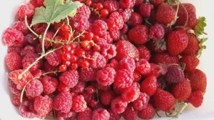 "Танцующий" мост в Волгограде! Старое видео! Ездили на старую дачу, сейчас у нас новый участок.