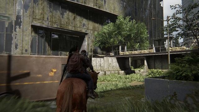 The Last of Us™ Part II Remastered |  Один из нас часть 2 (прохождение, часть 4)