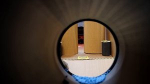 🐹Хомяк сбегает из потрясающего 5-звёздочного роскошного тюремного лабиринта с ванной🐹