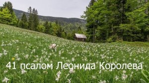 Молитва о даре повествования, таланте рассказчика / 41 псалом Королева Леонида