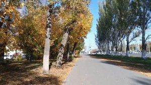 ХОДЬБА  САМЫЙ ЛУЧШИЙ ФИТНЕС. БЕСПЛАТНО. ДОСТУПНО.. ТОЛЬКО НАДО ЖЕЛАНИЕ. И КЛАССНЫЕ КРОСОВКИ.