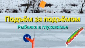 [2026]Рыбалка на жерлицы в феврале