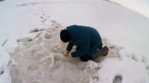 устье Волхова 01.03.2026