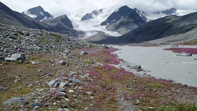 2025 К Талдуринскому леднику