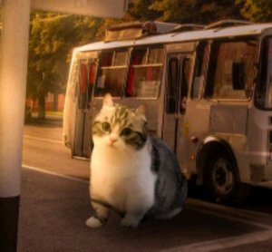 смотрим тачки