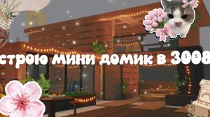 строю мини домик в 3008