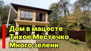 Дом в Сочи, тихое место, много зелени, хорошая дорога. Мацеста.