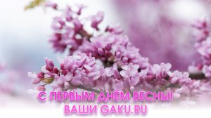 С первым днём весны! Из Японии с любовью ваши Gaku.ru!