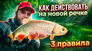 ТЫ БУДЕШЬ ЛОВИТЬ ГОЛАВЛЯ ВЕЗДЕ если ЗНАЕШЬ эти ПРОСТЫЕ ПРАВИЛА изучения НОВОГО МЕСТА ☝️