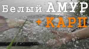 Рыбалка 3-2016