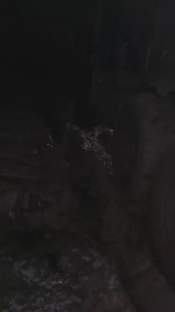 МК 5.45 - ВЬЮГА (Годы годуй...)❄️ #мк545 #мк5_45 #мк5_45дляпонимающих