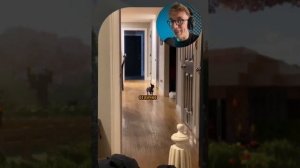 ВИРУСНЫЕ_ВИДЕО_Подборка_смешных_животных_№13