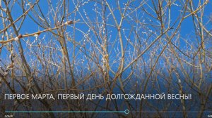 ПЕРВОЕ МАРТА, ПЕРВЫЙ ДЕНЬ ДОЛГОЖДАННОЙ ВЕСНЫ!