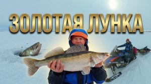 Долгожданные судаки в конце зимы в д. Быргында на Каме.