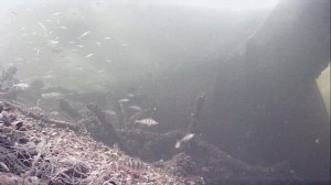 1000010751.mp4Волга гл.2м.01.03.2026г.