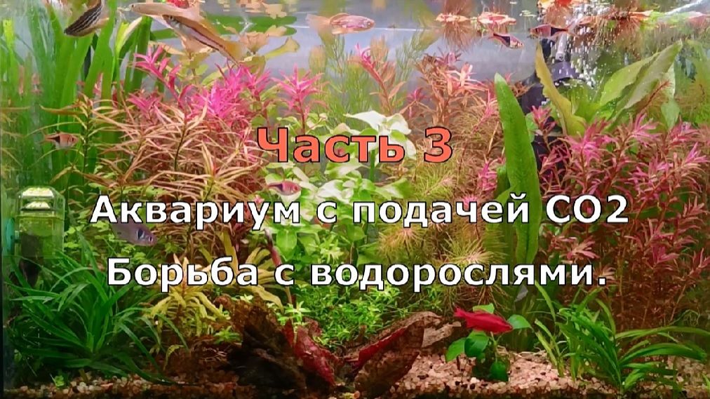 Часть 3 . Сайдекс. Баланс света, газа СО2, питания.