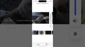 учу Как подключить экшен камеру 4K к телефону при заходе в приложение goplus Cam Pro