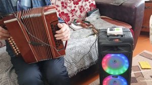 Миди гармонь с системой от Назифа.