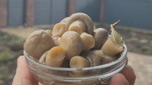 Делайте сразу ДВЕ, лучше ТРИ порции. БЫСТРАЯ и ВКУСНАЯ ЗАКУСКА на праздничный стол! ПРОСТОЙ РЕЦЕПТ!