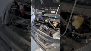 Fiat Ducato — почему его выбирает бизнес