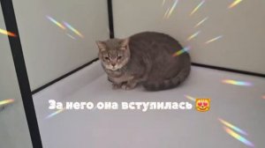Она.😺Пельмени🥟.Кто превратился?😁🤣