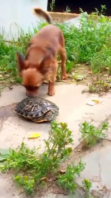 Охрана начеку!