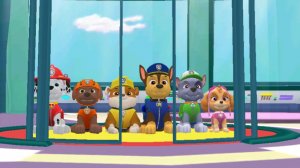 Щенячий патруль спасает мир.Paw Patrol. Щенячий патруль мир..Бухты приключений Часть 10