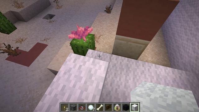 Строю собачью ферму.