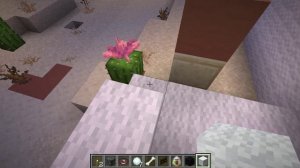 Строю собачью ферму.