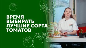 Лучшие сорта томатов для огорода и теплицы