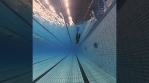 Курс PADI Basic Freediver, 28 февраля