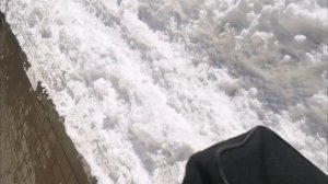 petal_20260217_192200.mp4