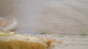 28 февраля 26