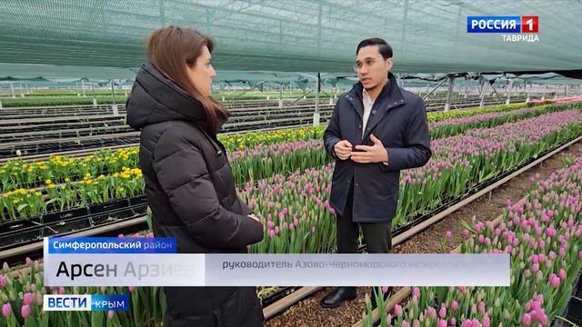 В Крыму усилили контроль качества цветов в преддверии 8 Марта