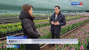 В Крыму усилили контроль качества цветов в преддверии 8 Марта