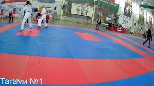 Татами №1 Турнир по Каратэ WKF "Великий  Мастер" 1 марта 2026.