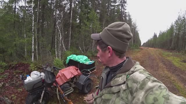 Уже не было надежды, но повезло. Охота на рябчика с манком. 25.10.25