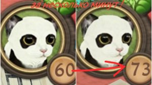 Как быстро прокачаться в cat sim ⁉️